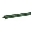 Gardener's Blue Ribbon 5' Sturdy Stake