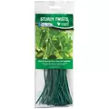 Gardener's Blue Ribbon 100pk 8" Sturdy Twists