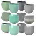 MCarr 81pc Mixed Planter Pallet Mixed Colors