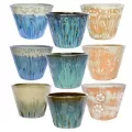 MCarr 108PC Mixed Planter Plt