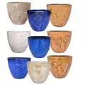 MCarr 81pc Garden Pallet Mixed Colors