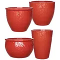 MCarr 26pc Mixed Daisy Planter Pallet Red