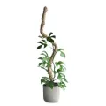 Mossify 42" Bendable Moss Pole