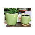 Jewel 6.5" Freeform Pot Pst