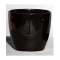 Palm Spring 6.5" Pc Lily Cache GBK