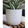 Palm Spring 5.5" Honey Comb Planter Ssl