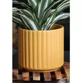 Palm Spring 5.5" Brush Comb Mst Planter