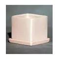 Palm Spring 4.5" Cube Pot with Ds Mpk