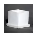 Palm Spring 4.5" Cube Pot with Ds Mwh