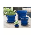 Verandah 8x6.5 Standard with Saucer Blue