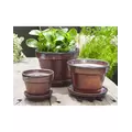 Verandah 8x6.5 Oxi Standard with Saucer