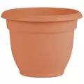 Bloem 10" Ariana w/ Grid Planter Muted TC