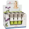 Scheurich 2.75" Expressive Assorted 937/07 Planter