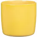 Scheurich 5" Solare 900/13 Planter
