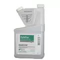 CytoFlor 1Qt Sold by the Case Only (12/CS)