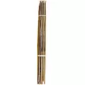 A&G 5/8"x4' Bamboo Stake