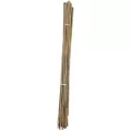 A&G 5/8"x6' Bamboo Stake