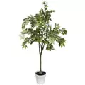 Algreen 53" Ficus Tree