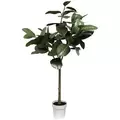 Algreen 67" Oak Tree