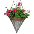 Braun 12" Rattan Cone