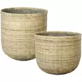 MCarr 24pc Canxe Bamboo Planter Pallet Natural