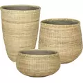 MCarr 24pc Canxe Bamboo Planter Pallet Natural