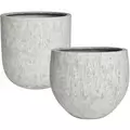 MCarr 16pc Ficonstone Root Planter Pallet Ash Gray