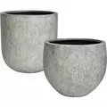 MCarr 16pc Ficonstone Root Planter Pallet Fossil Wood