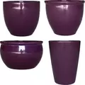 MCarr 26pc Mix Planter Pallet Amethyst