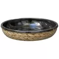 Panacea 10 D Water Hyacinth Saucer