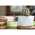 Geo 6.5" Pentagon Planter