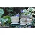 Verandah 7" Finger Pot MCH