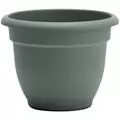 Bloem 8" Ariana Planter Basil