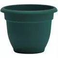 Bloem 8" Ariana Planter Charleston Green