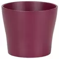 Scheurich 6.25" Burgundy 808/17 Planter