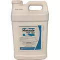 Manzate Max T&O 2.5Gl (2/CS) ( Mancozeb )