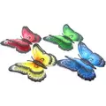 VCS 12" Bold Butterflies