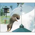 Perky Pet Transparent Squirrel Baffle