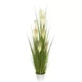 Algreen 48" Short Reed Grass