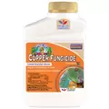 Captain Jacks Pt Liquid Copper Concentrate