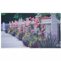 DHTG 19 X30 Digital Print Flowers Fence