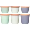 MCarr 105pc Planter Pallet Unglaze Rim Mixed Colors