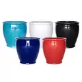 MCarr 30pc Smooth Planter Pallet Mixed Colors
