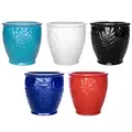MCarr 30pc Round Fern Planter Pallet Mixed Colors