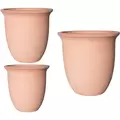 MCarr 3pc Flat Rim Planter Pallet Terrabetta