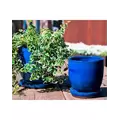 Verandah 7" Fbl Maui Pot
