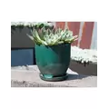 Verandah 7" Jade Maui Orchid Pot