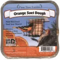 Pine Tree 12oz Orange Suet Dough