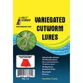 Pest Wizard 3pk Variegated Cutworm Lure