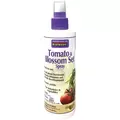 Bonide 8oz Tomato & Blossom Set Spray RTU CA